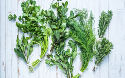 Put Some Spring in Your Step with These Cleansing Herbs