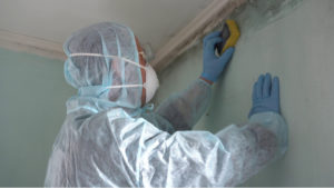 Someone cleaning mold in a household.