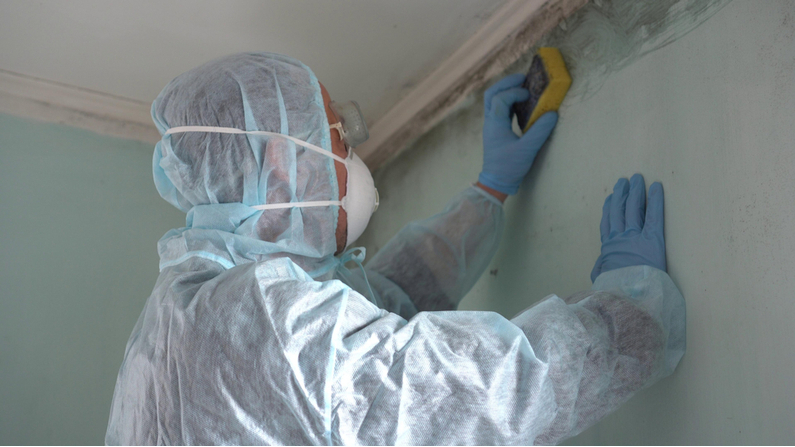 Mold in the Home: a Dangerous Dilemma