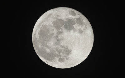 Parasite Symptoms More Noticeable Around Full Moons