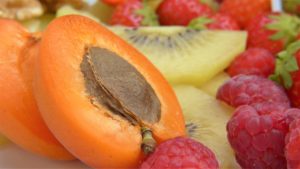 apricot seed kernal therapy