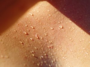 sweat, saunas, FIR sauna