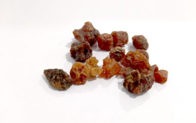 Frankincense & Myrrh: The Original Christmas Gifts with Unparalleled Healing Benefits