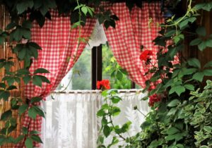 Clean Your Indoor Air of Cancer-Causing Pollutants with Plants!