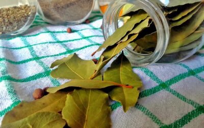 Bay Leaves: A Flavorful Ally in the Battle Against Cancer