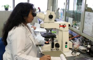 Microbial Partners in Crime: Investigating the Role of Microbes Inside Tumors