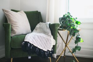 Green Guardians: Houseplants That Double as Mold Busters