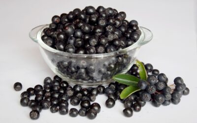 Chokeberries: An Unexpected Superfood and Ally Against Cancer