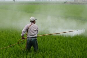 Jury Hits Bayer with $2.25 Billion Verdict Over Roundup's Cancer Link