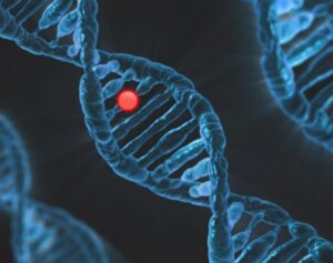 Unlocking the Secrets of the p53 Gene