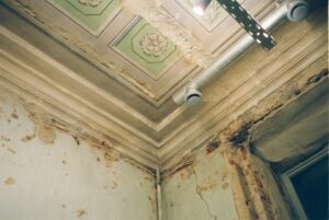 As Summertime Heats Up, So Does Your Exposure to MOLD