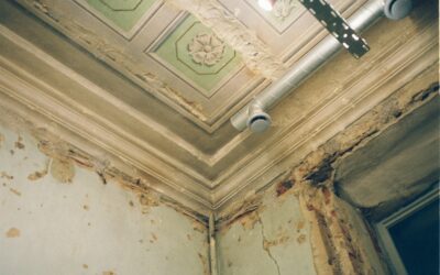 As Summertime Heats Up, So Does Your Exposure to MOLD
