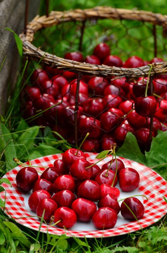 Dark Cherries may slow aggressive breast cancer