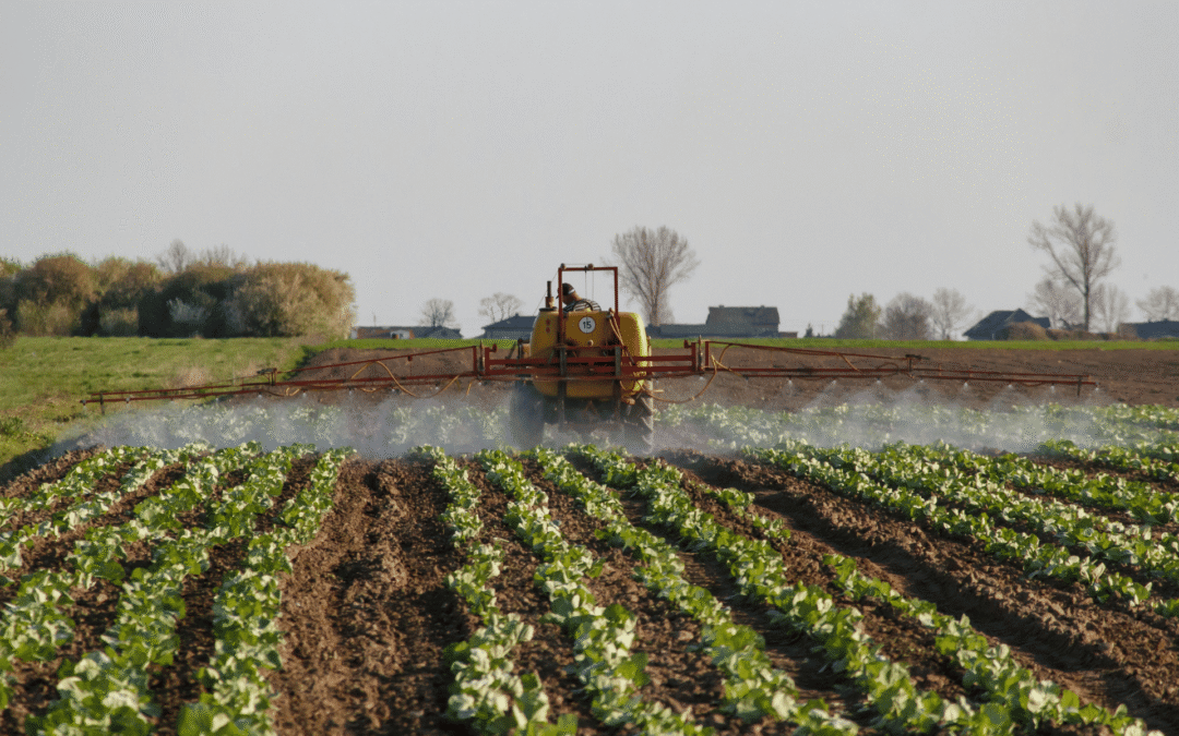 Scientists Raise Alarm, Urge Restrictions on Glyphosate Linked to Cancer