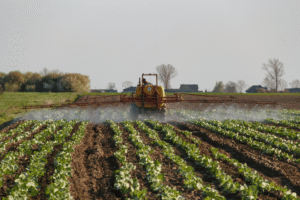 Scientists Raise Alarm, Urge Restrictions on Glyphosate Linked to Cancer