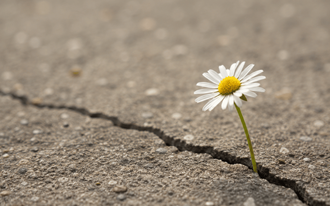 The Survivor Mindset